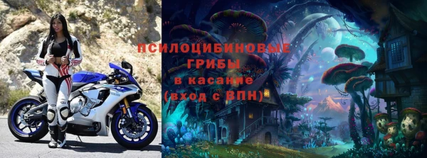 стаф Кодинск