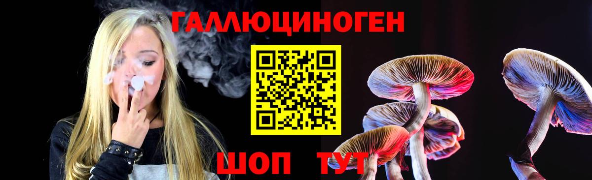 Псилоцибиновые грибы Magic Shrooms Тихорецк